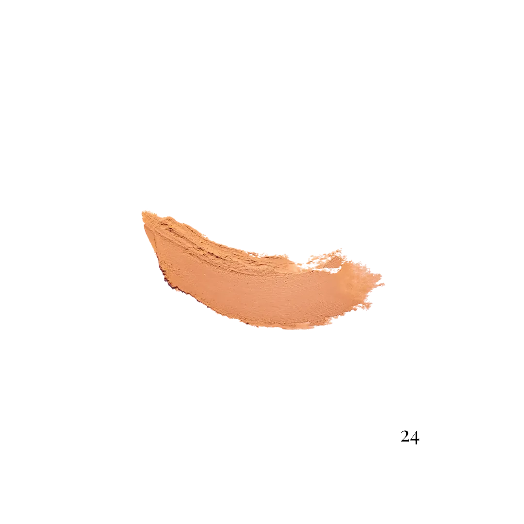 HD Stick Organic Foundation