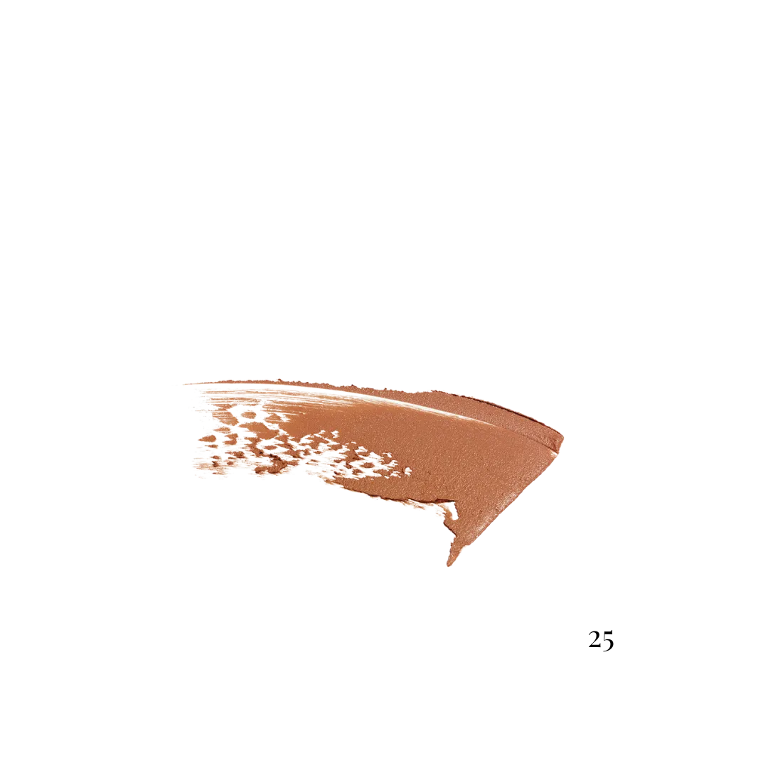 HD Stick Organic Foundation
