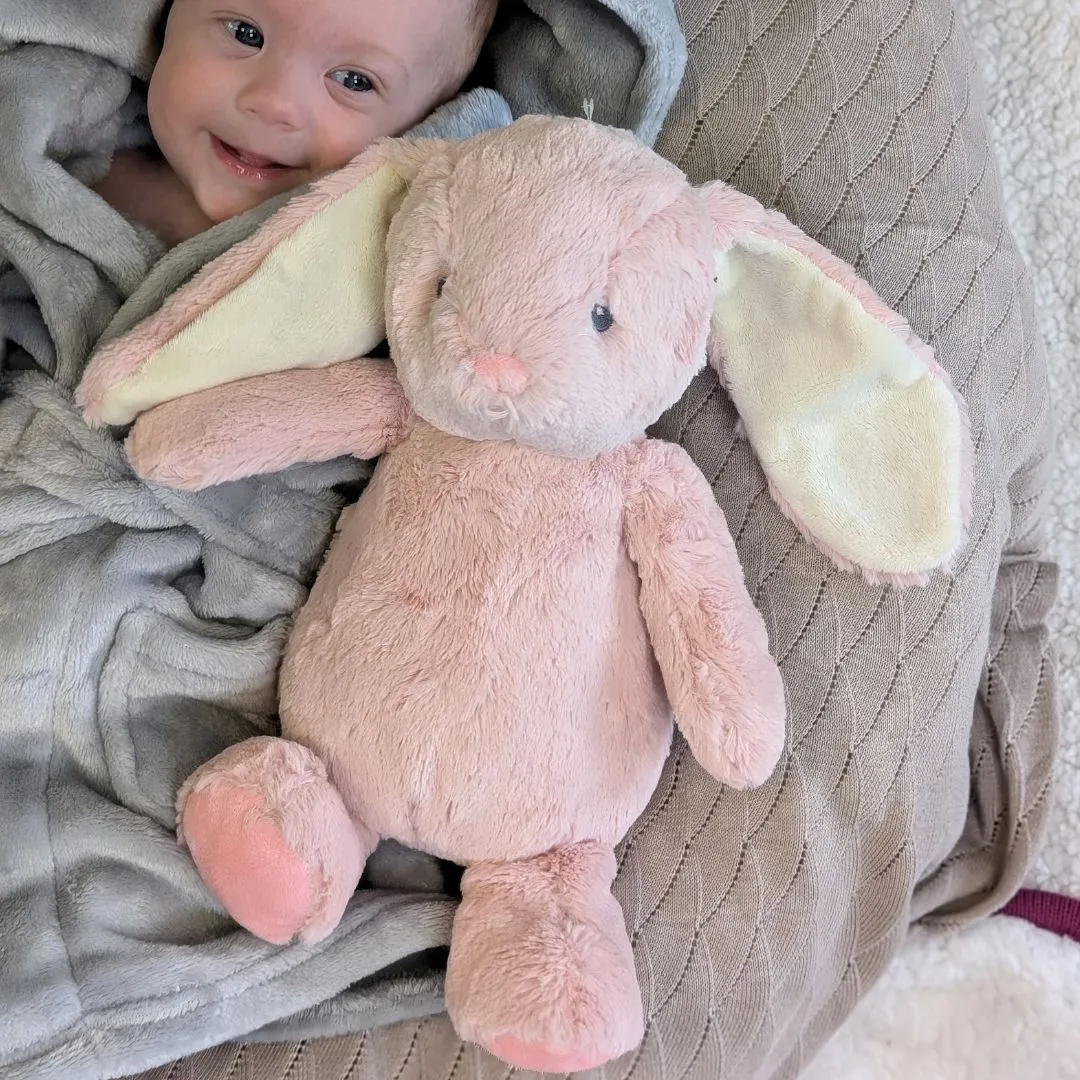Personalised Large Pink Bunny Cuddly Toy - Dewey Bunny / Rabbit  Soft (32cm)
